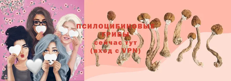 Псилоцибиновые грибы Cubensis  OMG рабочий сайт  Аткарск 